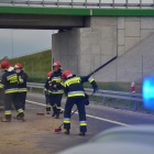 zdjęcie nr 16