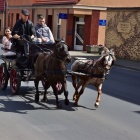 zdjęcie nr 12