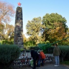 zdjęcie nr 19