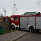 zdjęcie nr 3
