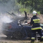 zdjęcie nr 37
