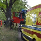 zdjęcie nr 7