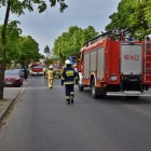 zdjęcie nr 1