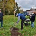 Drzewko życia Śmigiel, jesień 2022 (3)