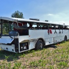 zdjęcie nr 12