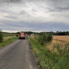 zdjęcie nr 11