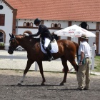 zdjęcie nr 12