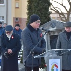 zdjęcie nr 15