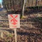 zdjęcie nr 10