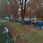 zdjęcie nr 3