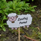 zdjęcie nr 8