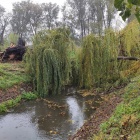 zdjęcie nr 9