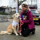 zdjęcie nr 43