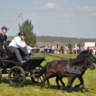 zdjęcie nr 23