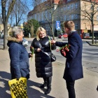 zdjęcie nr 11