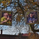zdjęcie nr 16