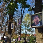 zdjęcie nr 19