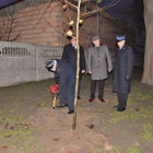 zdjęcie nr 72