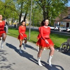 zdjęcie nr 8