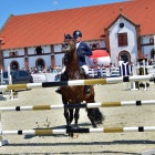 zdjęcie nr 11