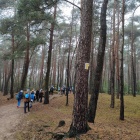zdjęcie nr 6