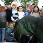 zdjęcie nr 16