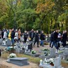 zdjęcie nr 11