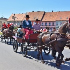 zdjęcie nr 28