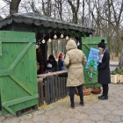 zdjęcie nr 8