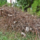 zdjęcie nr 38