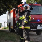 zdjęcie nr 8