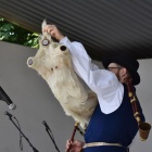 zdjęcie nr 11