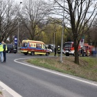 zdjęcie nr 11