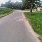 zdjęcie nr 16