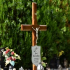 zdjęcie nr 62