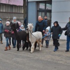zdjęcie nr 8