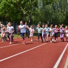 zdjęcie nr 29