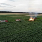 zdjęcie nr 8