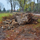 zdjęcie nr 4