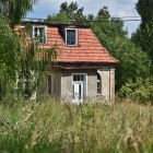 zdjęcie nr 8