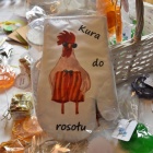 zdjęcie nr 12