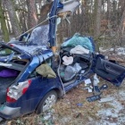 Uderzył w drzewo Telkimyśl Bojanice (4)