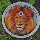 zdjęcie nr 7