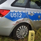zdjęcie nr 7