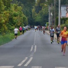 zdjęcie nr 85