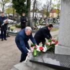 zdjęcie nr 14