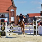 zdjęcie nr 35