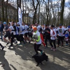 zdjęcie nr 20