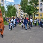 zdjęcie nr 1