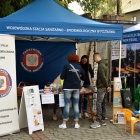 zdjęcie nr 4